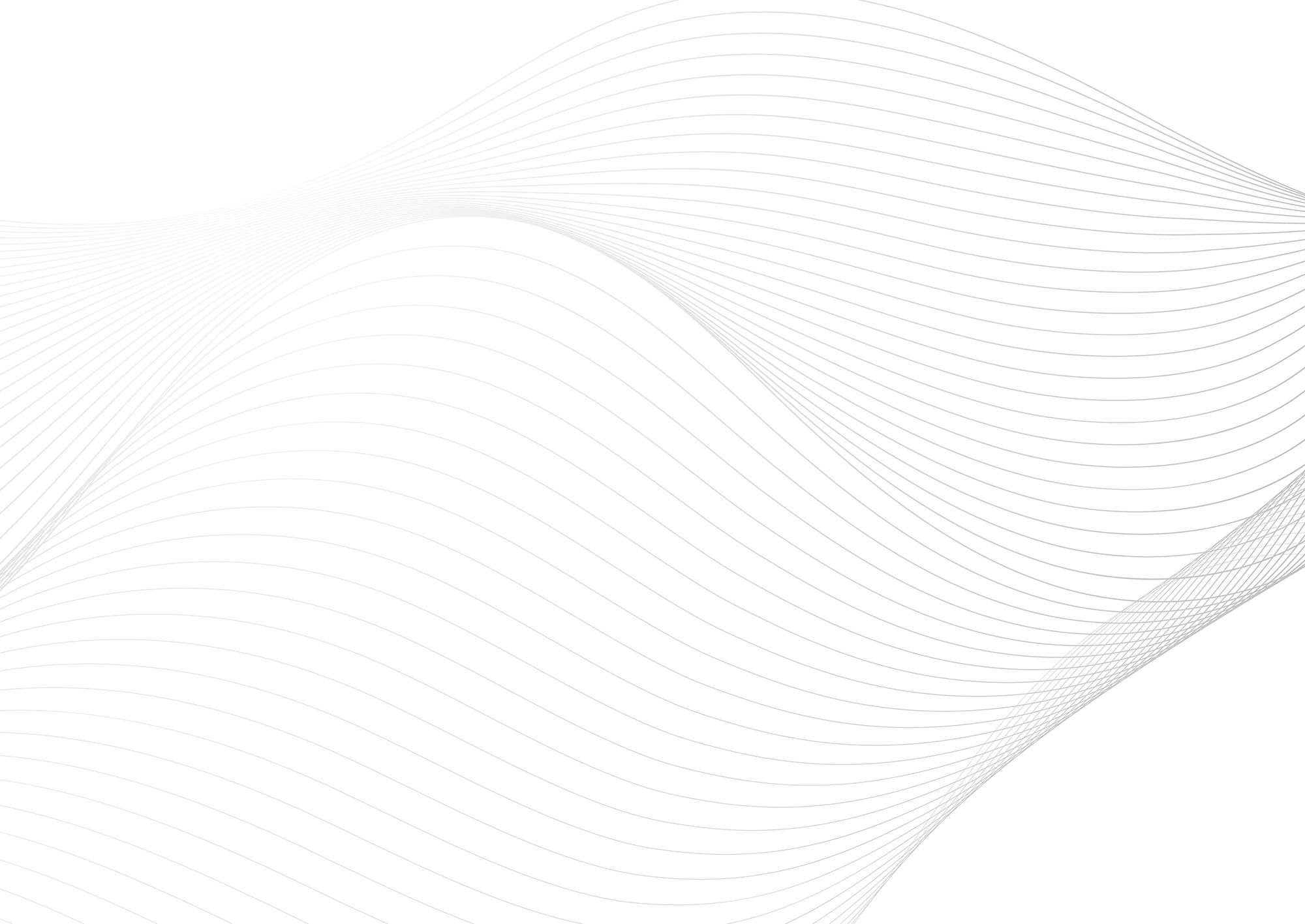 Web Site Tasarımcısı, Genç